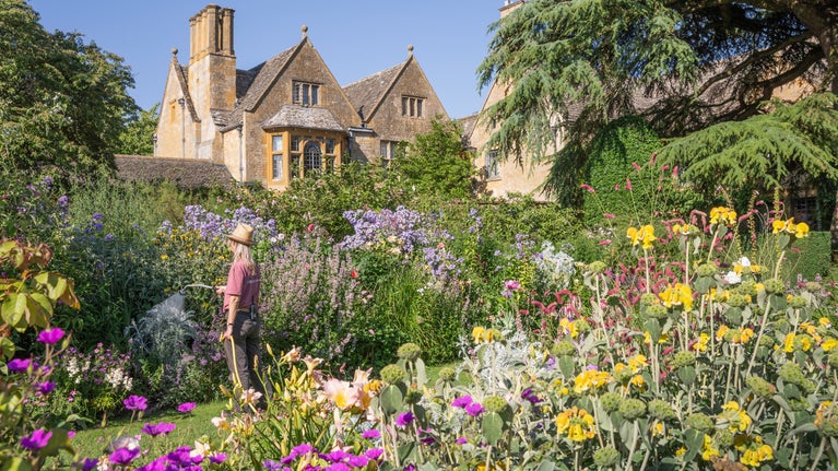 A gardener caring for Hidcote, Gloucestershire
